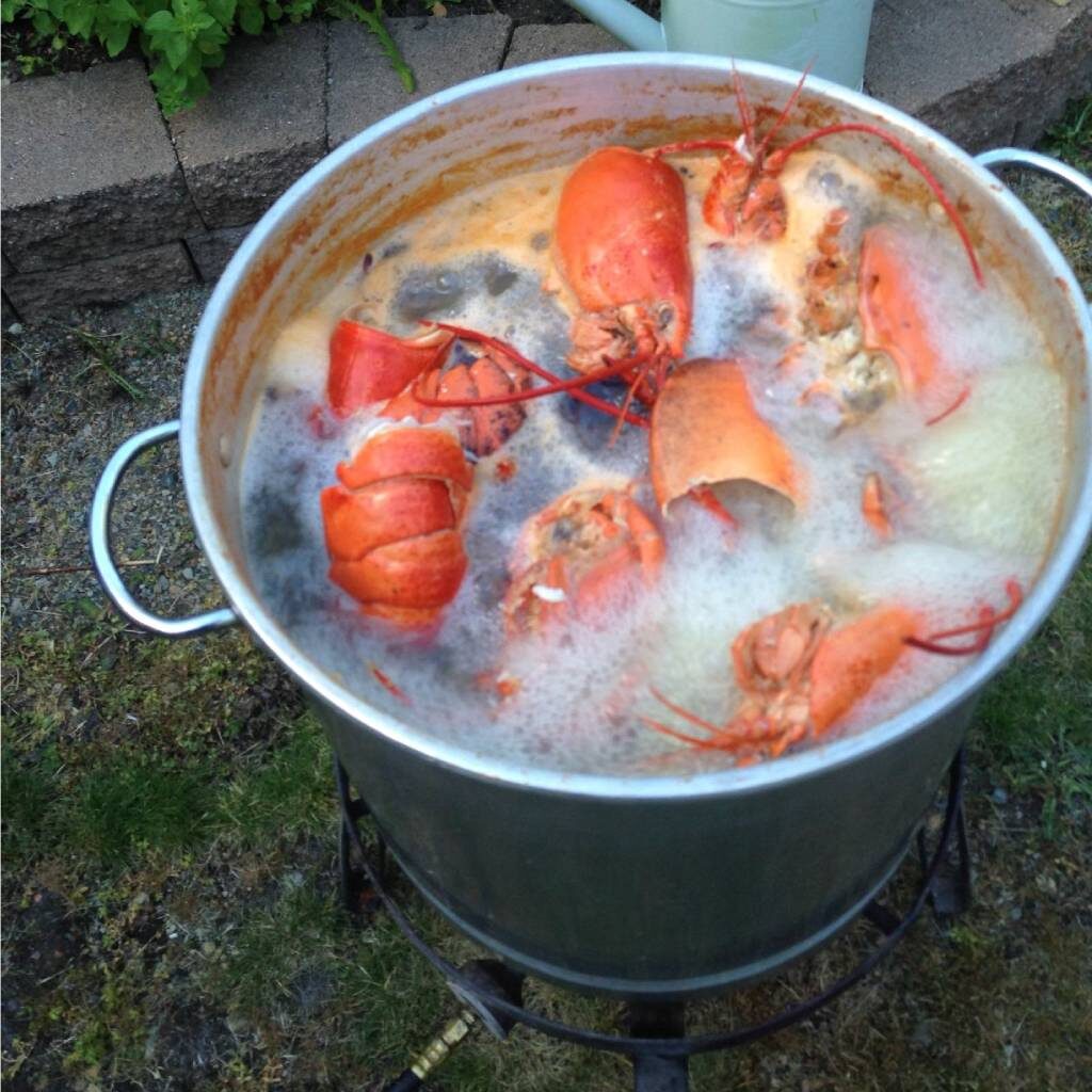 A pot of lobster is cooking on the grill.